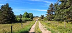 Belle piste vers les Hautes Chaumes du Forez