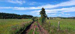 Piste agricole sur les Hautes Chaumes du Forez
