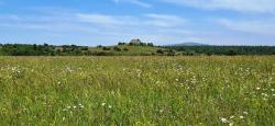 Prairie fleurie et la Grande Pierre Bazanne