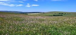 Paysage des Hautes Chaumes du Forez