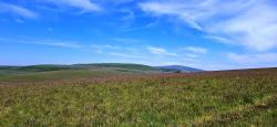 Paysage des Hautes Chaumes du Forez