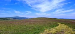 Paysage des Hautes Chaumes du Forez