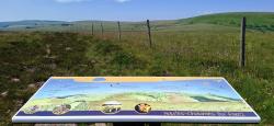 Paysage des Hautes Chaumes du Forez