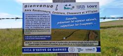 Point info