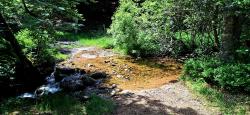 Gué du ruisseau de Pierre Brune