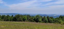 Paysage des Monts du Forez