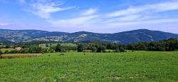 Paysage des Monts du Forez
