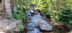 Torrent de Pierre Brune (proche cascade de Chorsin)