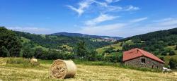 Paysage des Monts du Forez