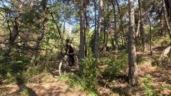 VTT-44588