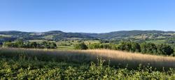 Paysage du Morvan