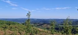 Paysage du Morvan