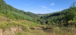 Paysage du Morvan