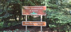 Forêt Domaniale d'Anost