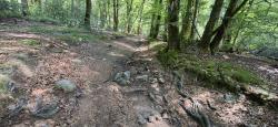 Juste après le Lac des Settons, petit sentier technique montant