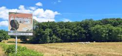 Château-Chinon et vaches