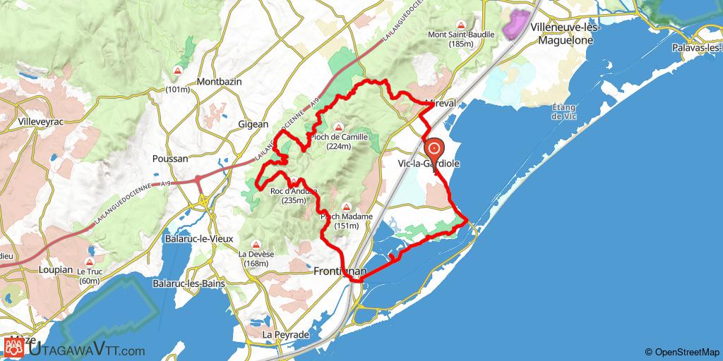 Singles de la Gardiole et salins de Frontignan