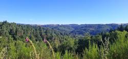 Vallée du Lignon