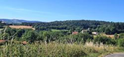 Village de Palogneux