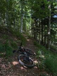 VTT-44887