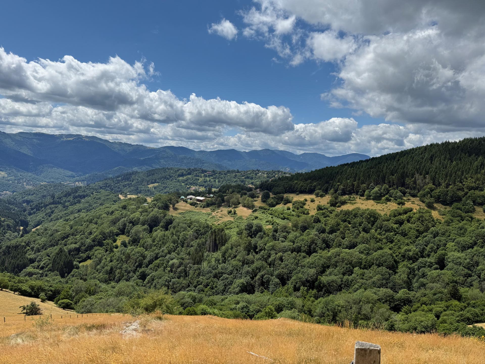 Geishouse - Grand Ballon