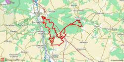 Forêts de Nanteau et de Nemours-Poligny
