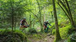 GTVTT_Forêt_de_Montségur