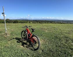 VTT-44973