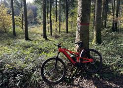 VTT-44975