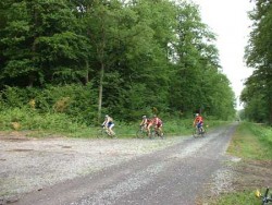 Forêt de Coucy : entrée dans la forêt