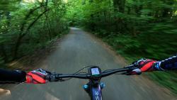 VTT-45019