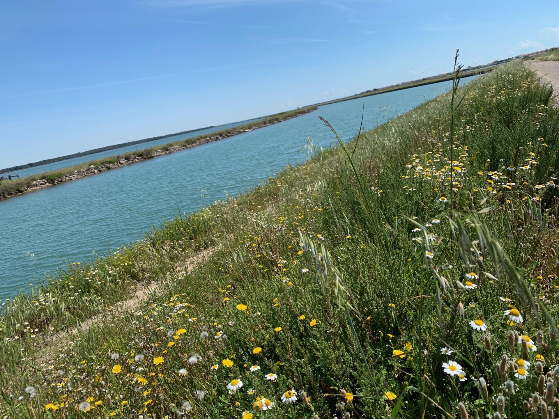 Du lac de Salagou à Sainte-Maxime - Etape 2/10 : Bouzigues - La Grande Motte