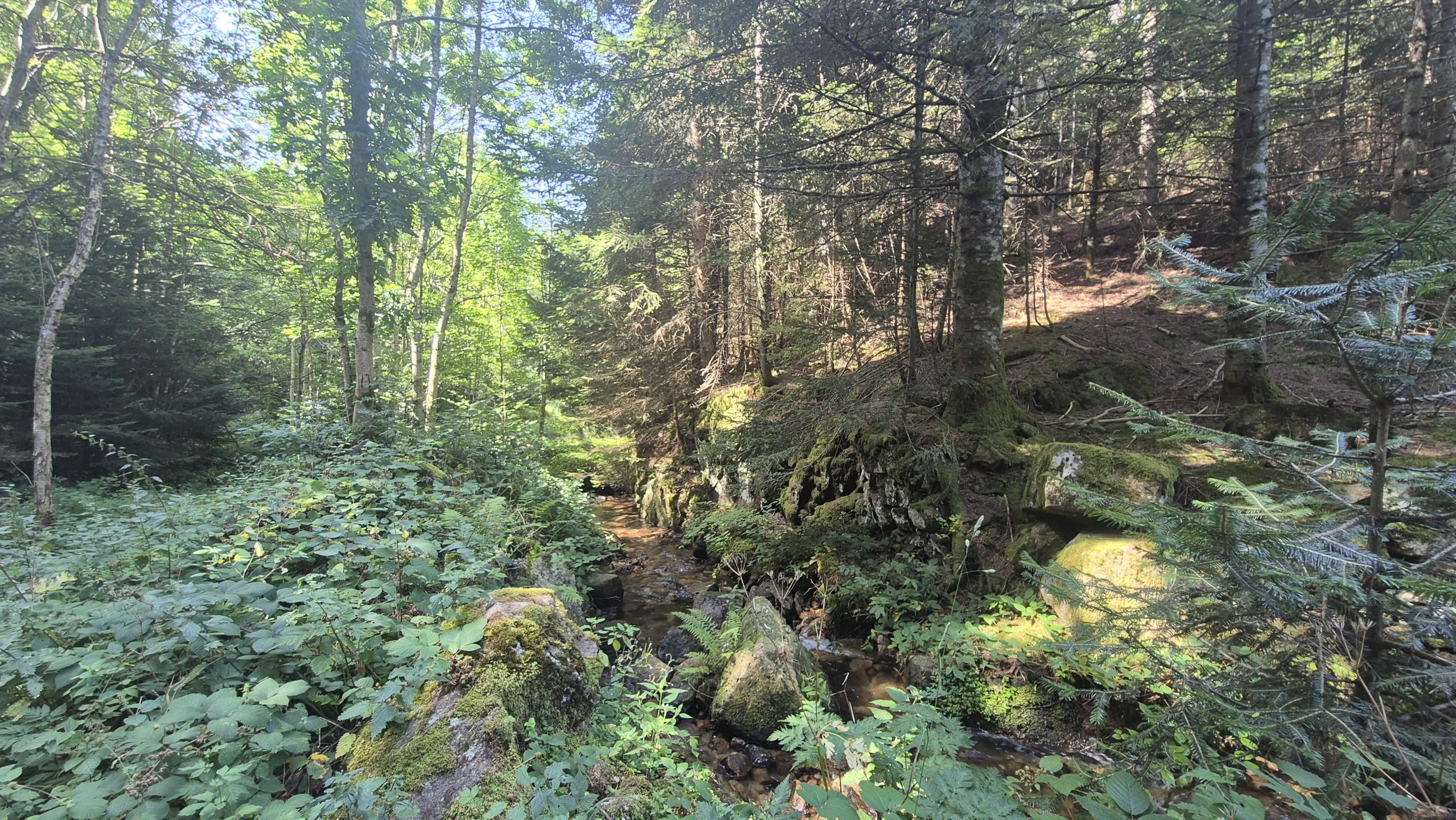 Sur les traces de la 17ème St Cham VTT