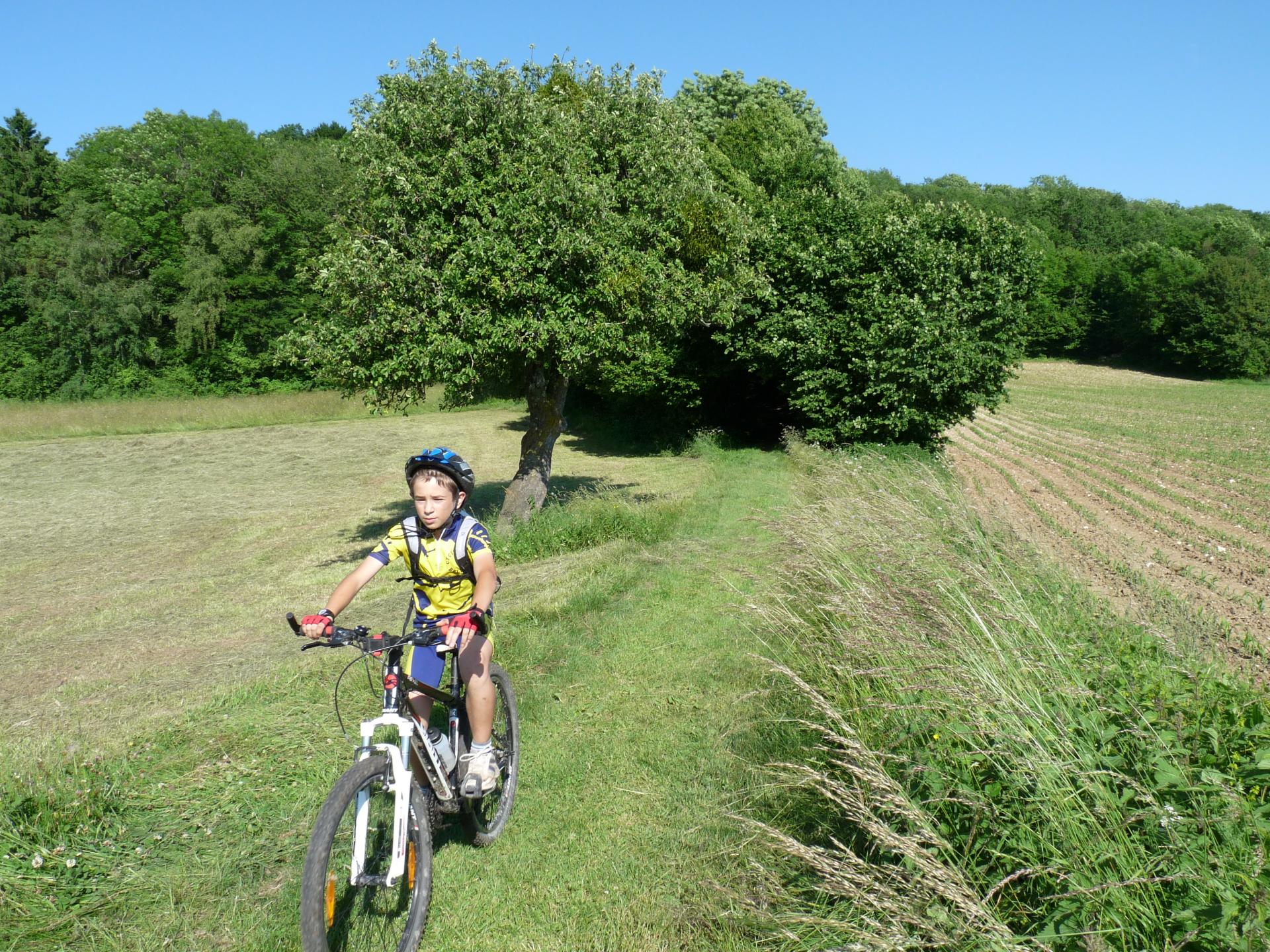 Circuit N° 3 - Boucle de Nances