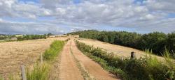 Piste agricole roulante