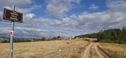 Paysage
