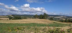 Paysage