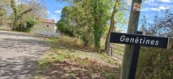 Genétines