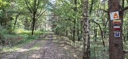 Forêt de Bas