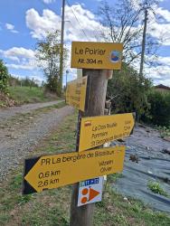 le Poirier