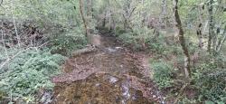 Le Munet, rivière l'Isable