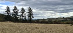 Vue sur le clocher de Souternon