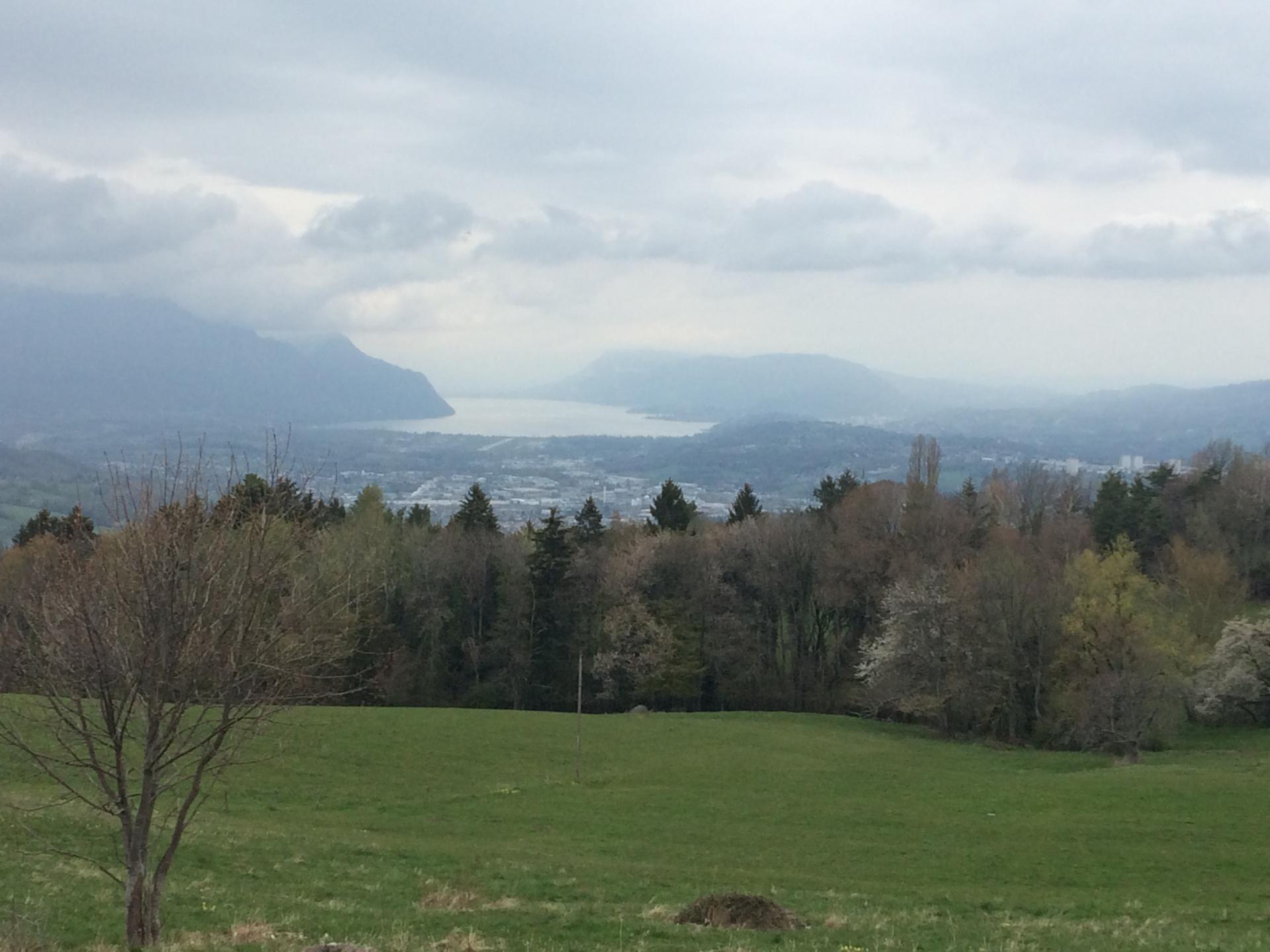 Piste forestière de la Drière depuis Montagnole