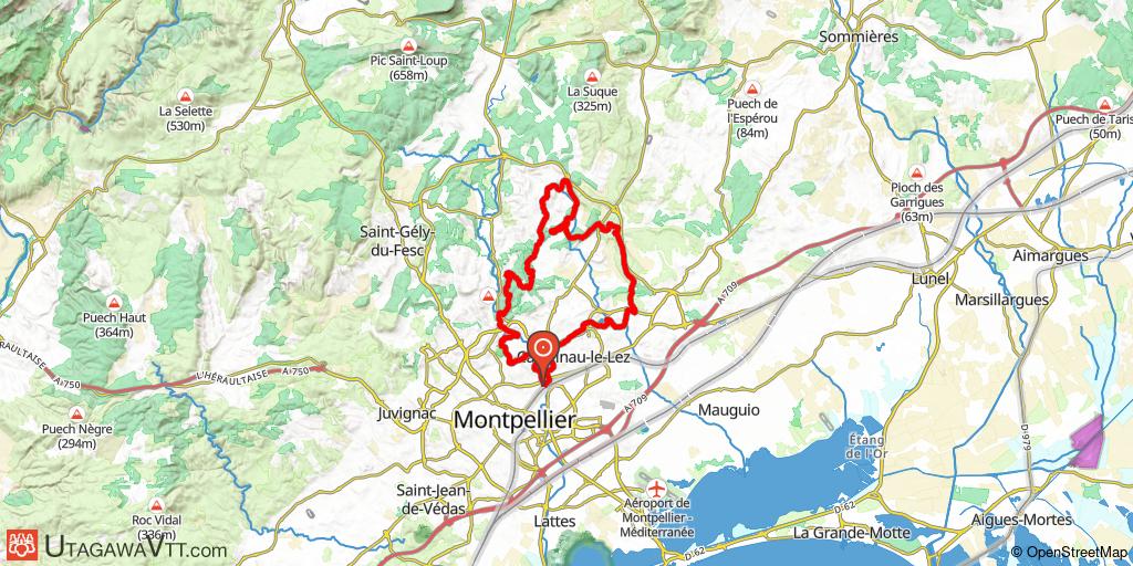 Autour de Montpellier, par le bois de Clapiers - Version 2025