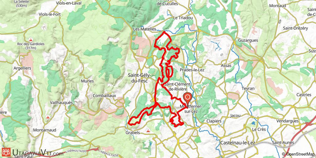 Rando des Pinèdes du Lez 2025 - 43 km