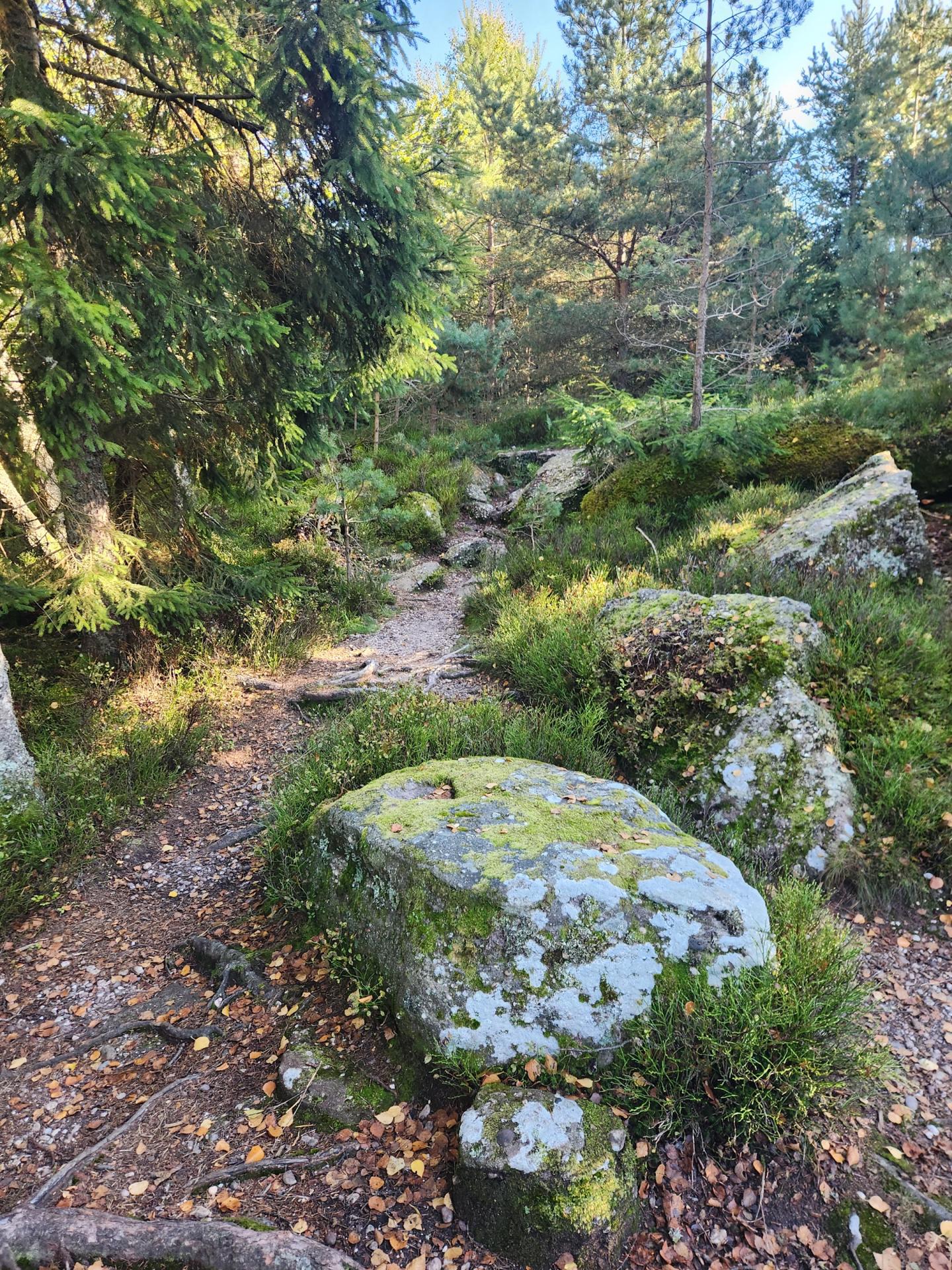 Tour du Taennchel depuis Ribeauvillé