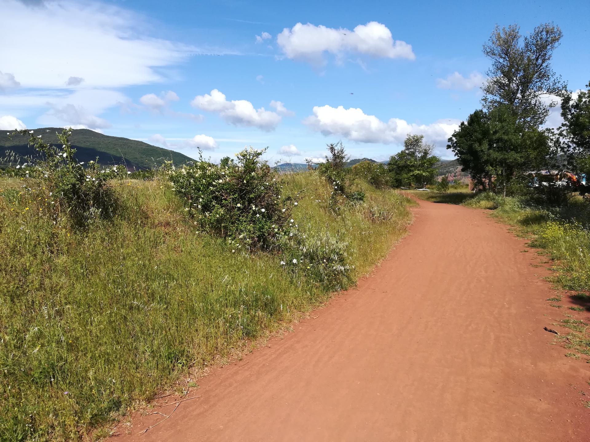 Site labellisé FFC-VTT n°51 - Circuit N°12 : Les berges du Salagou