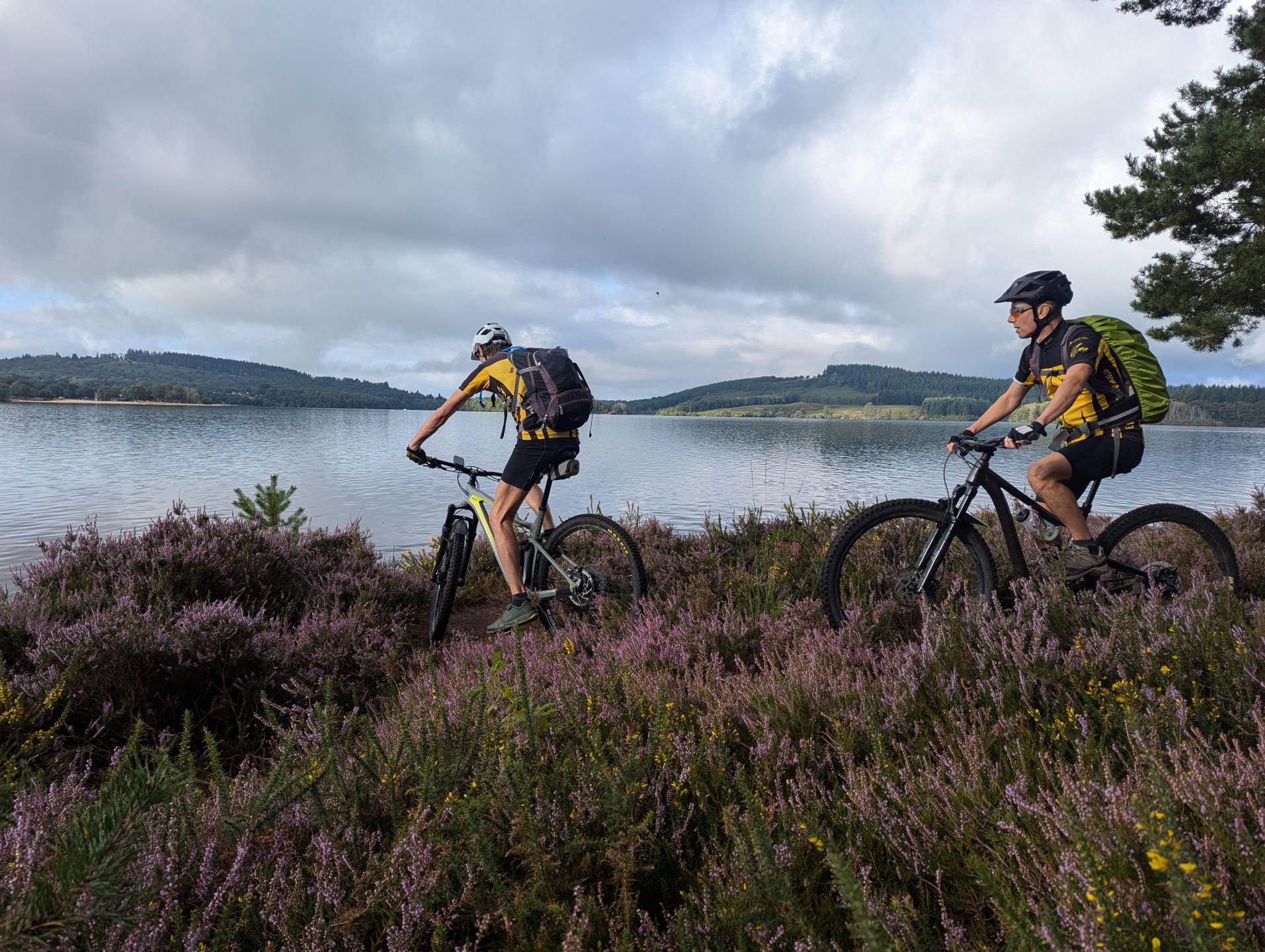 GéRéVé9 - Landes et tourbières par Lavaud-Gelade