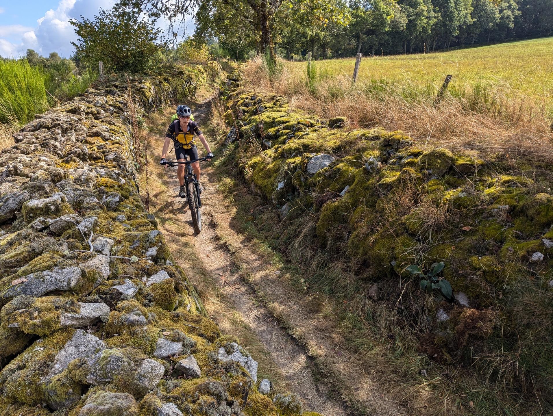 GéRéVé9 - Landes et tourbières par l’étang d’Arfeuille