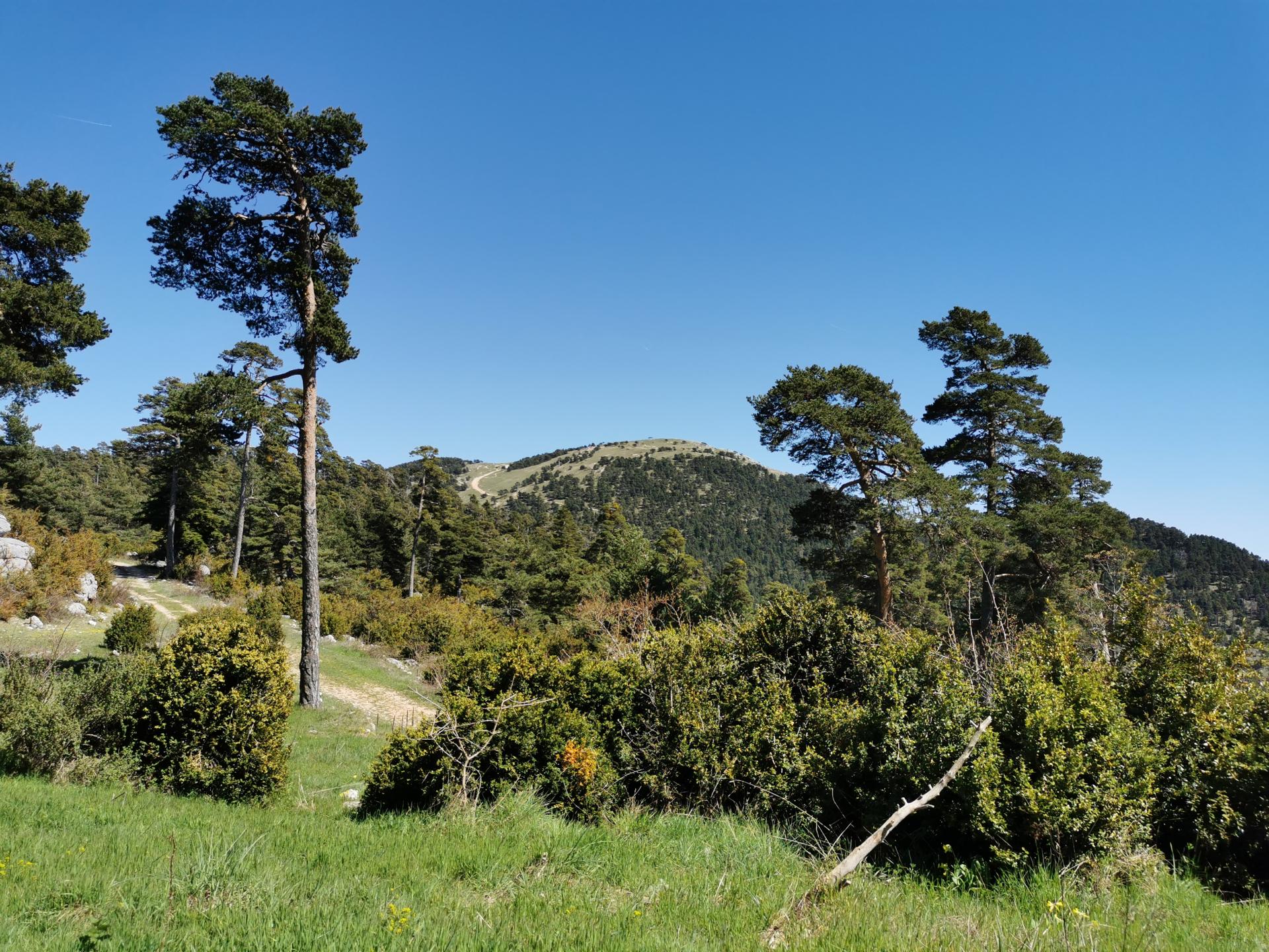 Circuit XC N°52 : Les avens